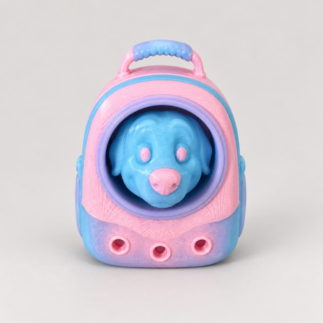 Blue Puppy Carrier